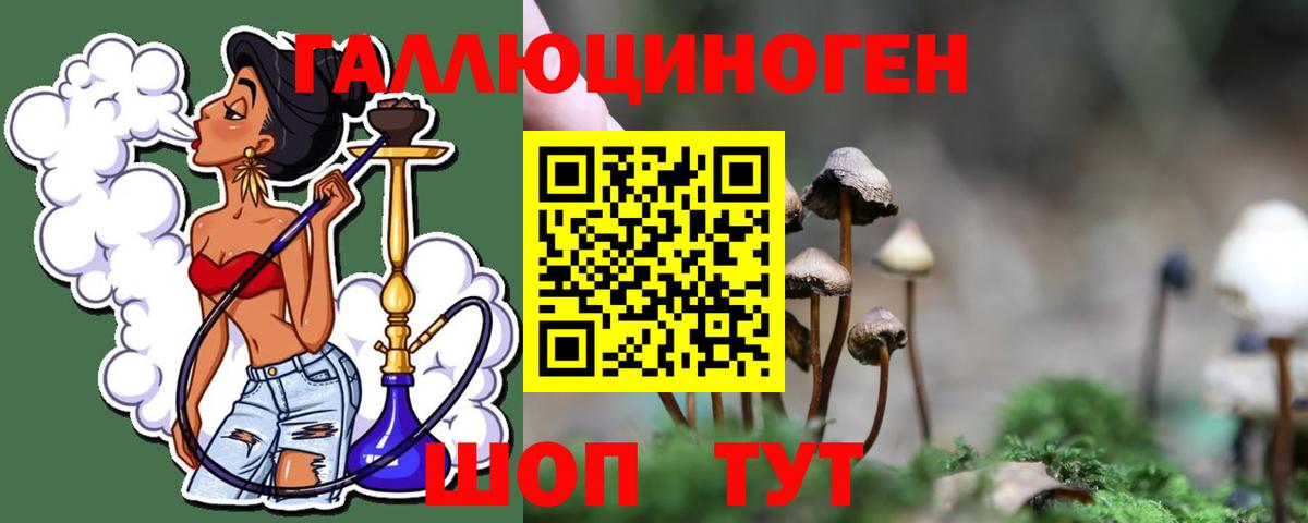 Галлюциногенные грибы Psilocybe Сарапул