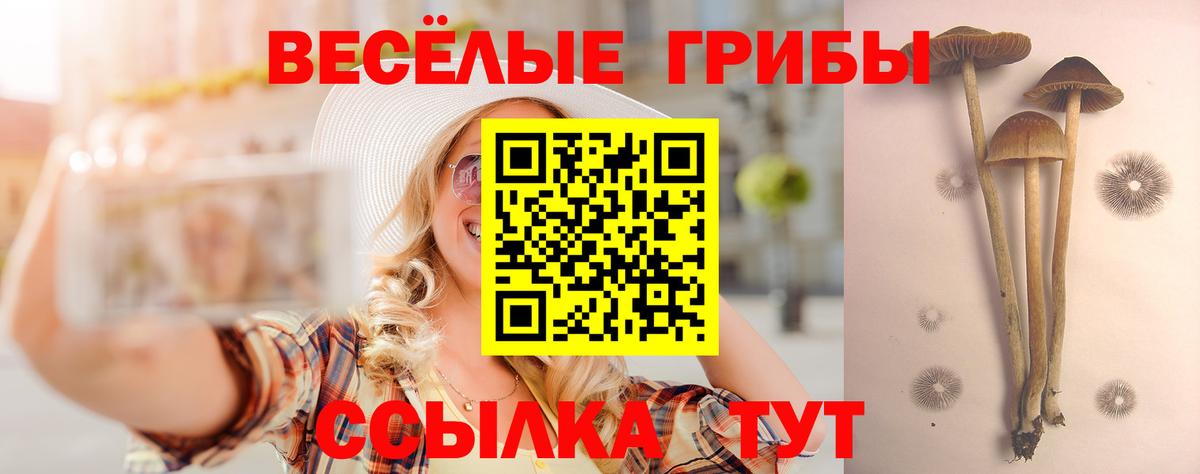Сарапул  Галлюциногенные грибы ЛСД  Вход с VPN 